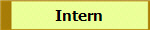 Intern